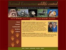 Tablet Screenshot of animalencounterswildlifecontrol.com